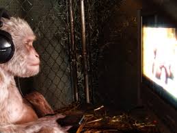 monkey. porn. | Banksys the village petstore and charcoal g… | amelia  mendez | Flickr