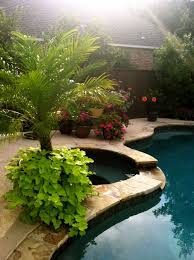 Tropical Poolscape Www Countywidelandscape Com Backyard Pool Landscaping Pool Landscaping Backyard