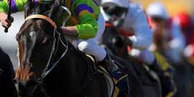 Cesarewitch Trial Day