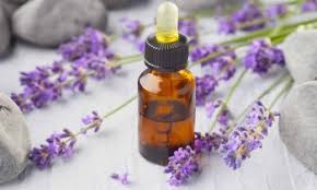 Olio Essenziale di Lavanda - Proprietà Curative e Benefici