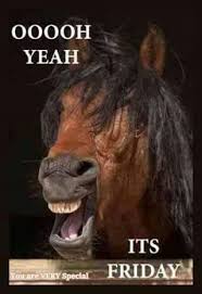 Friday Horse Quote Its Friday Quotes Friday Meme Friday Humor