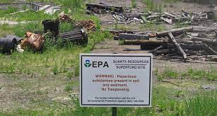 Engineered Plants Demolish Toxic Waste | Science News
