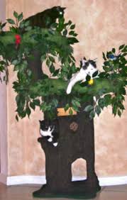 You can even break apart the sanctuary into individual trees or clusters in. Fantasy Forest Cat Trees A Fantasy Forest