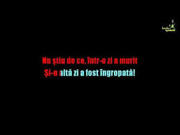 Pasarea Colibri Cantec Soptit Ka Aokehd By Snooker6767 Youtube