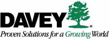 Northern virginia tree service professionals offer tree removal, cabling and bracing, and pruning. Davey Tree Service Northern Virginia
