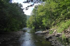 Camping is prohibited within 300 feet of the corridor of the south branch of the potomac river between u.s. Laurel River Trail 306 Traversing Two Wilderness Areas In Monongahel Purple Lizard Maps