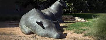 What jobs can you get with an animal science degree. A Degree In Animal Food Science Casnr Ttu