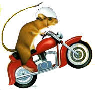 But when young keith and his parents check in to the hotel, ralph gets his first chance to check out. Big Screen Sundays The Mouse And The Motorcycle Children S Discovery Museum Of San Jose