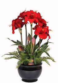 Fake flowers silk flowers,birthday, wedding,christmas christening baby shower, kitchen tea party, nursery decorations or any other celebration. Amazon Com House Of Silk Flowers Artificial Red Amaryllis In Black Fish Bowl Artific Artificial Plants Decor Artificial Plant Wall Artificial Plants Indoor