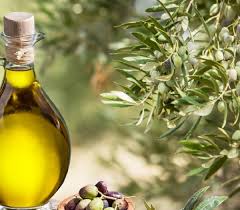 Con l'assemblea nazionale di “Città dell'Olio” è festa per l'oro verde