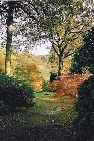 High Beeches Gardens Woodland Garden Landscape Garden