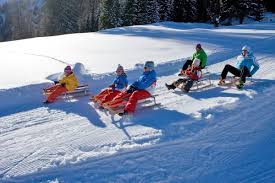 Weitere wintervergleiche von uns zwischen einem rodel und dem davoser schlitten gibt es unterschiede, obwohl sie beide aus der familie der holzschlitten stammen. Rodeln Hotel Almschlossl Schrotteralm Obertauern