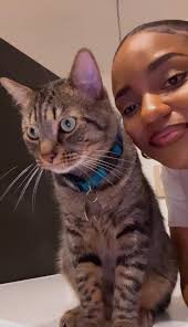 loki_the_cat and #miou_the_cat