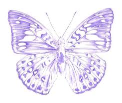 Check spelling or type a new query. How To Draw A Butterfly With Color Pencils