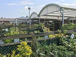 Knights Garden Centre Chelsham Place Limpsfield Rd Warlingham Cr6 9dz Uk