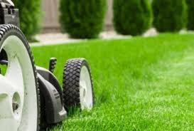 Need a lawn care company in frisco, texas? Lawn Care Dallas Tx Landscaping Lawn Mowing Edging