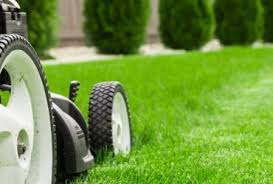We are the top rated lawn service, landscape installation, and tree removal company in dallas. Lawn Care Dallas Tx Landscaping Lawn Mowing Edging