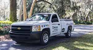 We pride ourselves on our ability to help you finish your give your lawn a fresh cut with a mower from our wide selection of lawn mowers and keep it lush and green with the help of fertilizers and outdoor plants. Pest Control Exterminators In Savannah Ga Mccall Service