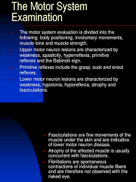 Image result for Motor Exam