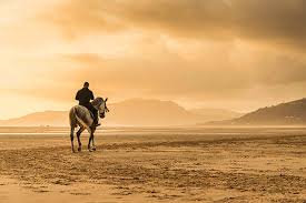 Image result for free images of man on a horse