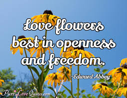 Beautiful colors of flowers attracts us towards their self. Love Flowers Best In Openness And Freedom Purelovequotes