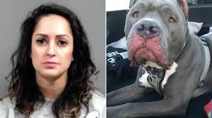 Critics are pouncing on steven crowder over a meltdown video of the conservative comedian backing out of a planned interview after a surprise guest was included. Kansas Woman Who Fatally Beat Ex S Dog Gets Probation 4state News Mo Ar Ks Ok