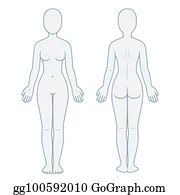 Blank body manikins from paper questionnaire download. Human Body Outline Clip Art Royalty Free Gograph
