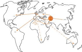 Image result for Crepidorhopalon parviflorus