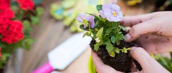 Toutes nos annonces gratuites ariège. Du Jardin Dans Ma Vie Idees Rafraichissantes Projets Simples Et Sujets Inspirants