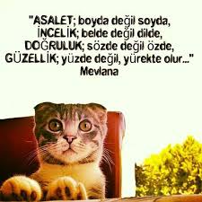 Inciler Gercekler Guzel Soz Ve Ozlu Sozler
