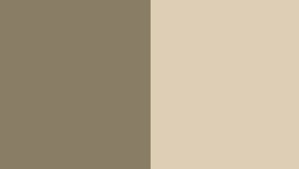 Quelle Idee Deco Avec La Couleur Taupe Et Lin Tout Pratique Couleur Taupe Couleur Taupe Et Lin Cuisine Couleur Taupe