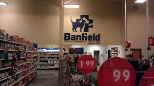 Maybe you would like to learn more about one of these? Veterinarian Banfield Pet Hospital Reviews And Photos