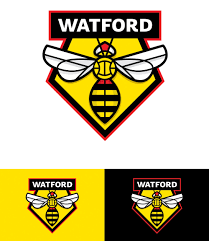 You can apply for a disabled parking bay near your home if you: Watford Fc Lee Scott Brand Identity Specialist