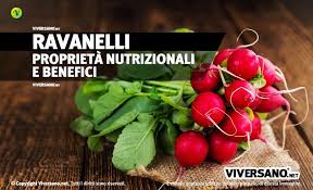 Adoro i ravanelli (chiamati anche rapanelli) perchè sono la sintesi del massima resa in poco tempo. Ravanelli Proprieta Benefici E Controindicazioni