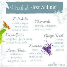 Earth Mama S Herbal First Aid Kit Herbalism Fist Aid Kit Herbal Medicine