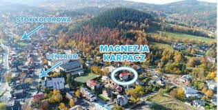 Magnezja całkowicie wypalona jest otrzymywana z magnezytu, czyli występującego w warunkach naturalnych. Best Price On Magnezja In Karpacz Reviews
