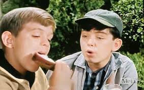 Favorite Leave It To Beaver Episodes and Scenes