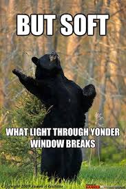But Soft What Light Through Yonder Window Breaks Funny Pictures Make Me Laugh Funny Animals
