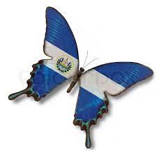 All orders are custom made and most ship worldwide within 24 hours. El Salvador Flag On Butterfly Stock Photo Colourbox El Salvador Flag El Salvador Art El Salvador