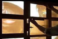 Nguyen was born in houston, texas, usa. Christine Q Nguyen