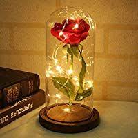 Shirylzee Rose Glas Licht Rose Im Glas Glaskuppel Kunstlich Rose Lampe Ein Holzsockel Led Licht Der Rose Haus D Hellrosa Rosen Im Glas Die Schone Und Das Biest
