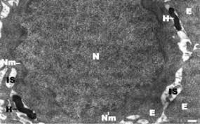Câți mp vor avea în plus angajații. Abstracts Cont Clinical Microbiology And Infection