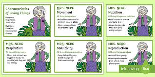 No cell wall is present in the animal cell. Mrs Nerg Ks2 Flash Cards Characteristics Of Living Things