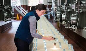 We did not find results for: Inspecting New Wine Barrels Jordan Winemaking Process Quality Control