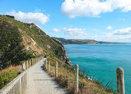 紐西蘭 南島the catlins南太平洋海岸自駕公路旅行 紐西蘭最南端slope point bluff 在世界角落的古老燈塔 c視角的大世界小角落