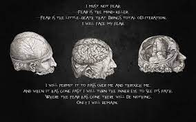 Cientific Brain Famous Quotes Quotesgram