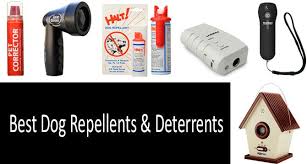 top 10 dog repellents deters of