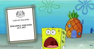 What is the meaning of mpib abbreviation? 7 More Malaysian Laws You Didn T Know Existed Asklegal My