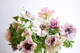 Maybe you would like to learn more about one of these? A New Flower Market Is Opening In Providence Rhode Island Monthly