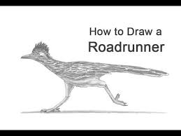 Tickets cost $1 per play per drawing. How To Draw A Roadrunner Youtube